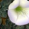 Placitas Artists - Gary W. Priester