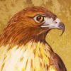 Placitas Artists - Joan Hellquist