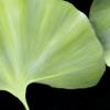Sylvia Eisenhart - PlacitasArtists.com