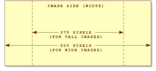 IMAGE SIZE (WIDTH) 375 PIXELS (FOR TALL IMAGES)  600 PIXELS (FOR WIDE IMAGES)